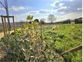 Image du bien UBI471534803